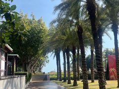 -三亚海棠湾万丽度假酒店