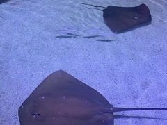 -北海海底世界