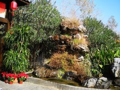 -合肥滨湖国家森林公园