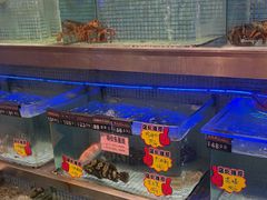 -东方御宴海鲜酒楼(棕泉酒店)