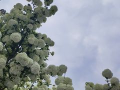 -成都欢乐谷