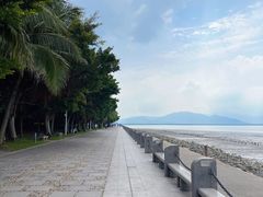 -深圳湾公园(南山区)