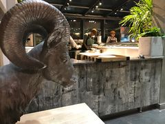 -HIGH FIVE哈福手工汉堡(桂林路店)