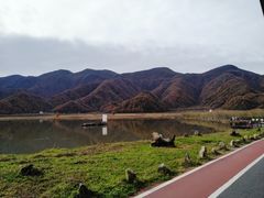 -大九湖