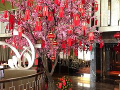 -金轩中餐厅 Jin Xuan(浦东丽思卡尔顿酒店)