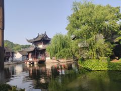 -鲁镇