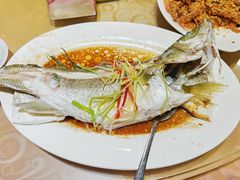 -百年银屏蚝烙·潮汕菜·非遗(乐山店)