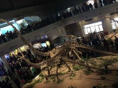 -自贡恐龙博物馆