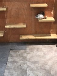 -神奇动物撸宠馆·羊驼·小浣熊·异宠(豫园店)