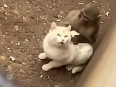 -昆明动物园