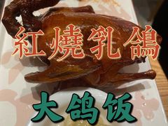 红烧乳鸽-大鸽饭(北京路店)