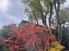 -中国湿地博物馆