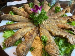 -东北大院·东北菜(三台子店)
