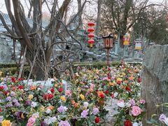 -白家大院·王府宫廷菜(苏州街店)