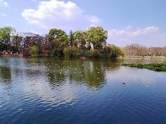 -翠湖公园
