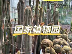 -国家植物园南园