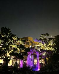 -华东饭店·园林式婚礼宴会厅酒店