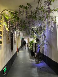 -盘子女人坊生日照·摄影馆(华强店)