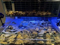 -海玥荟海鲜姿造自助餐厅(欧罗巴广场店)