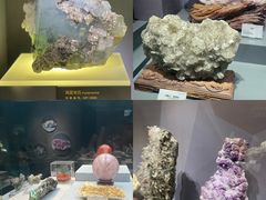 -湖南省地质博物馆