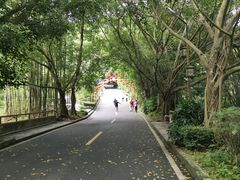 -大屏嶂森林公园