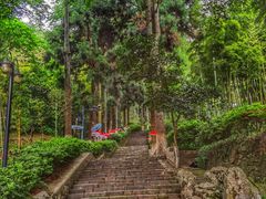 -莫干山风景区