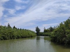 -泗洪洪泽湖湿地景区