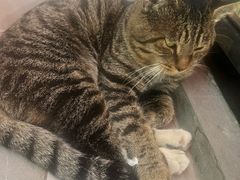 -孙记大碗皮肚面(后宰门店)