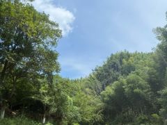 -梅岭漂流