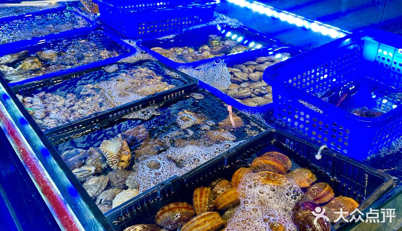 东山岛高铁下车直奔这家店，简直海鲜控的天堂‼️