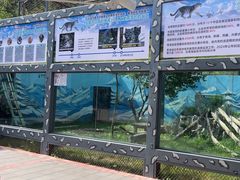 -青藏高原野生动物园