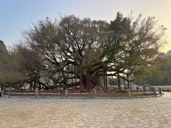 -观音桥步行街