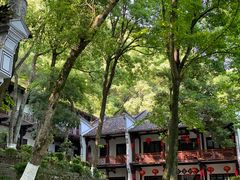 -严子陵钓台(富春江小三峡)