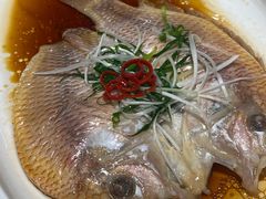 清蒸红星斑-华盛丰温州大排档(东三环南路店)