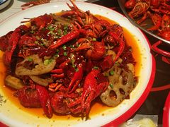 香辣小龙虾（大份）-海岛八号龙虾烧烤田鸡(蓝天路总店)