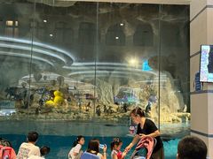 -帝企鹅自助餐厅•儿童岛•真企鹅(长隆企鹅酒店)