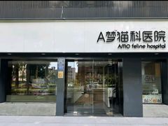 -御宝贝·A梦猫科宠物医院(国际猫友好医院)