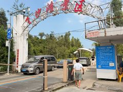 -飞沙滩