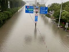 -嘉庚体育馆