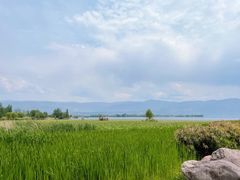 -西昌邛海湿地