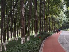 -龙头寺公园