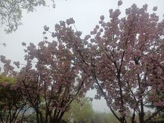 -陕西华浮宫酒店(未央湖公园店)