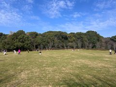 -昆山城市生态森林公园