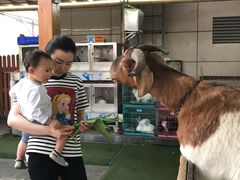 -凯德广场(金牛店)