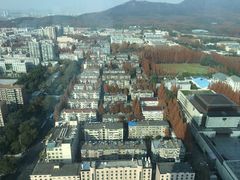 -南京维景国际大酒店(南京博物院店)