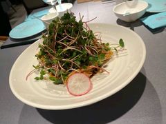 酸甜萝卜苗-海岛渔村大酒店(云霄路店)