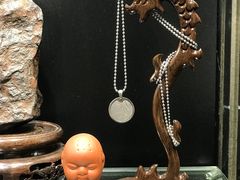 -志强陨石馆(双季花艺店)