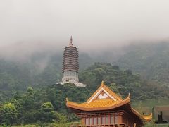 -深圳仙湖植物园