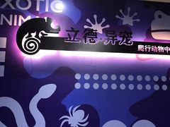 -立德动物医院·异宠·CT·鹦鹉(天河店)