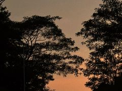 -火炉山森林公园